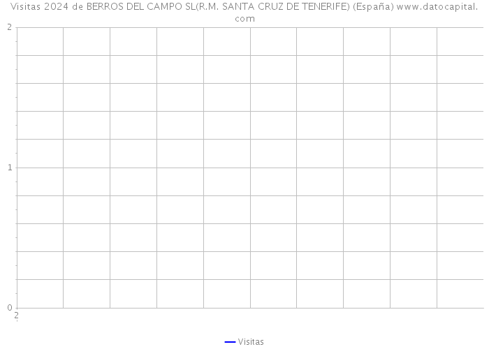 Visitas 2024 de BERROS DEL CAMPO SL(R.M. SANTA CRUZ DE TENERIFE) (España) 