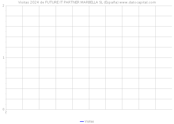 Visitas 2024 de FUTURE IT PARTNER MARBELLA SL (España) 