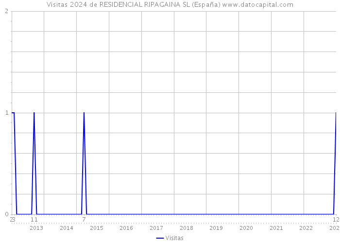 Visitas 2024 de RESIDENCIAL RIPAGAINA SL (España) 