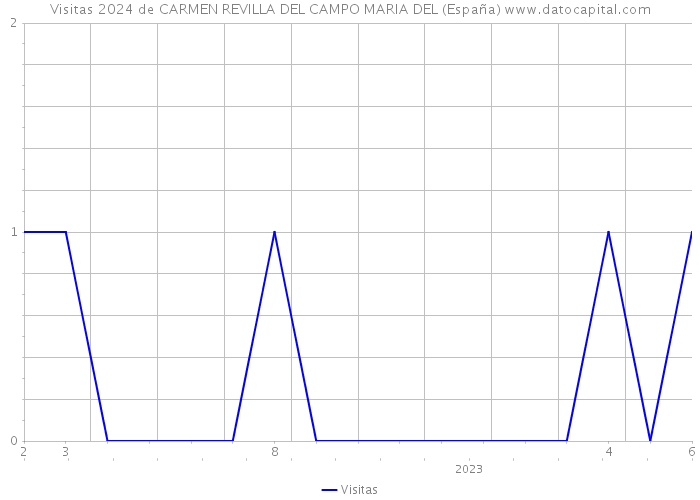 Visitas 2024 de CARMEN REVILLA DEL CAMPO MARIA DEL (España) 