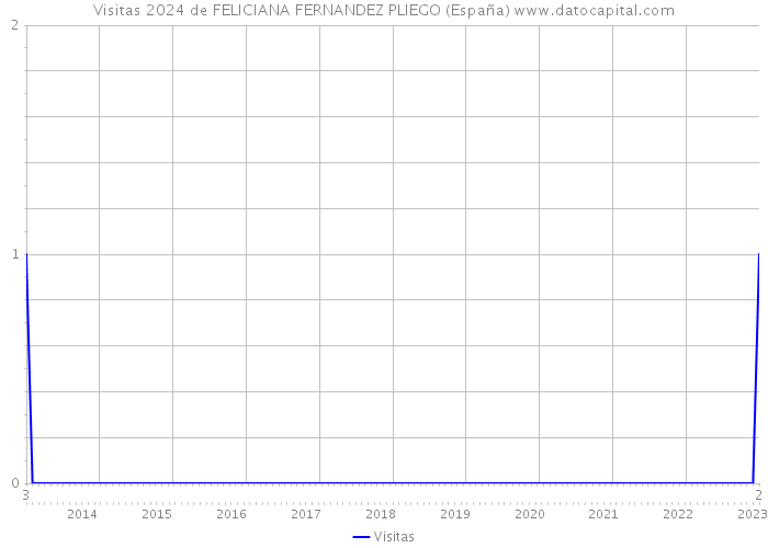 Visitas 2024 de FELICIANA FERNANDEZ PLIEGO (España) 