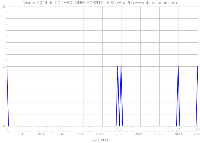 Visitas 2024 de CONFECCIONES HOSPITAL 8 SL. (España) 