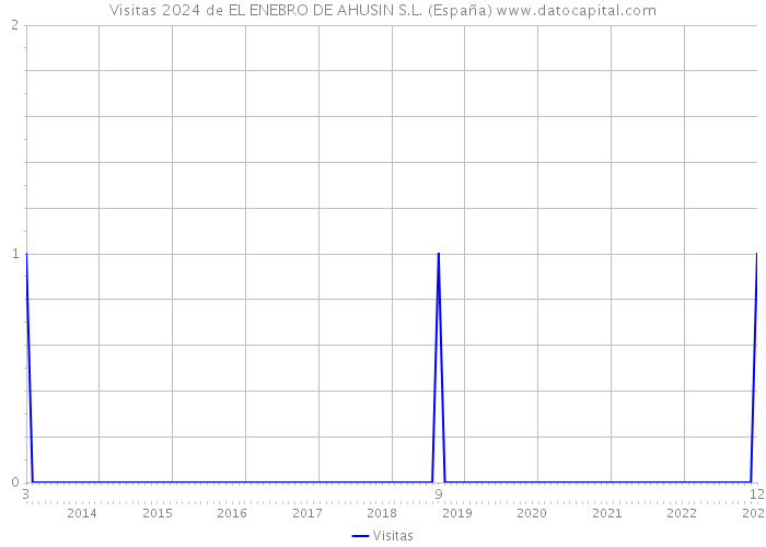 Visitas 2024 de EL ENEBRO DE AHUSIN S.L. (España) 