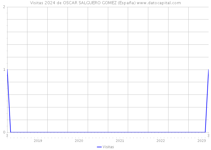 Visitas 2024 de OSCAR SALGUERO GOMEZ (España) 