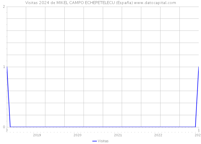 Visitas 2024 de MIKEL CAMPO ECHEPETELECU (España) 
