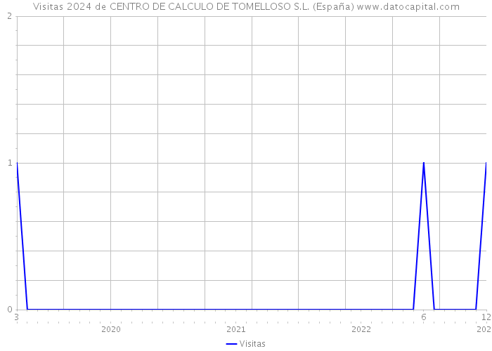 Visitas 2024 de CENTRO DE CALCULO DE TOMELLOSO S.L. (España) 