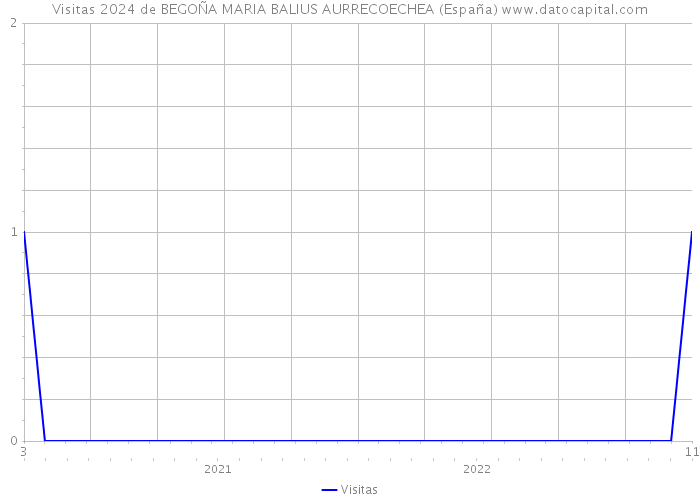 Visitas 2024 de BEGOÑA MARIA BALIUS AURRECOECHEA (España) 
