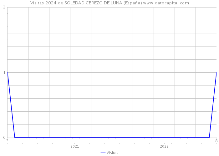 Visitas 2024 de SOLEDAD CEREZO DE LUNA (España) 