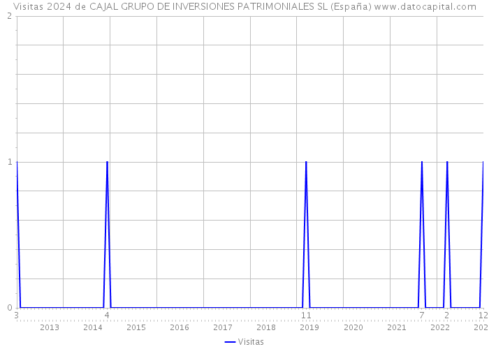 Visitas 2024 de CAJAL GRUPO DE INVERSIONES PATRIMONIALES SL (España) 