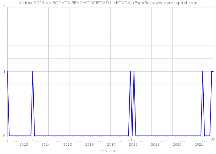 Visitas 2024 de BOCATA BEACH SOCIEDAD LIMITADA. (España) 