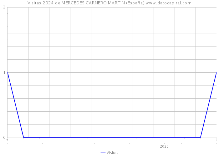 Visitas 2024 de MERCEDES CARNERO MARTIN (España) 