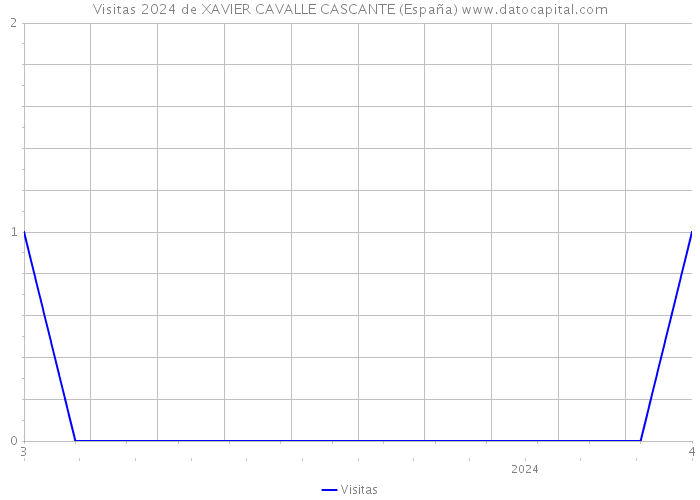 Visitas 2024 de XAVIER CAVALLE CASCANTE (España) 