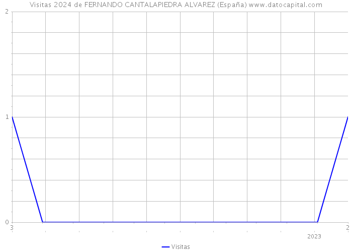 Visitas 2024 de FERNANDO CANTALAPIEDRA ALVAREZ (España) 