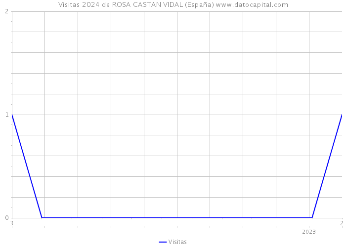 Visitas 2024 de ROSA CASTAN VIDAL (España) 