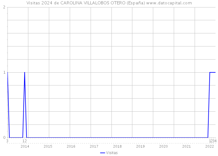 Visitas 2024 de CAROLINA VILLALOBOS OTERO (España) 