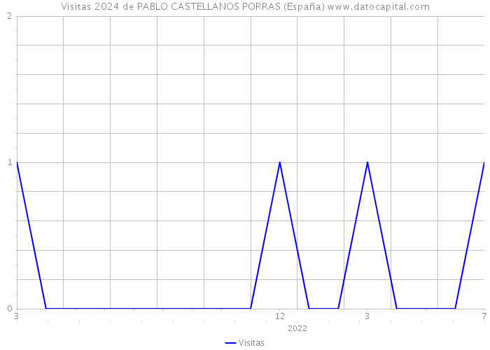 Visitas 2024 de PABLO CASTELLANOS PORRAS (España) 