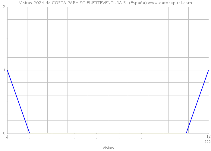 Visitas 2024 de COSTA PARAISO FUERTEVENTURA SL (España) 