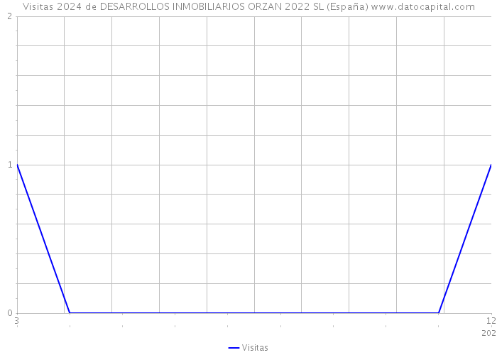 Visitas 2024 de DESARROLLOS INMOBILIARIOS ORZAN 2022 SL (España) 