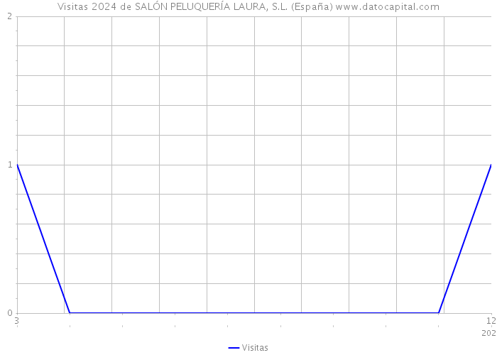 Visitas 2024 de SALÓN PELUQUERÍA LAURA, S.L. (España) 