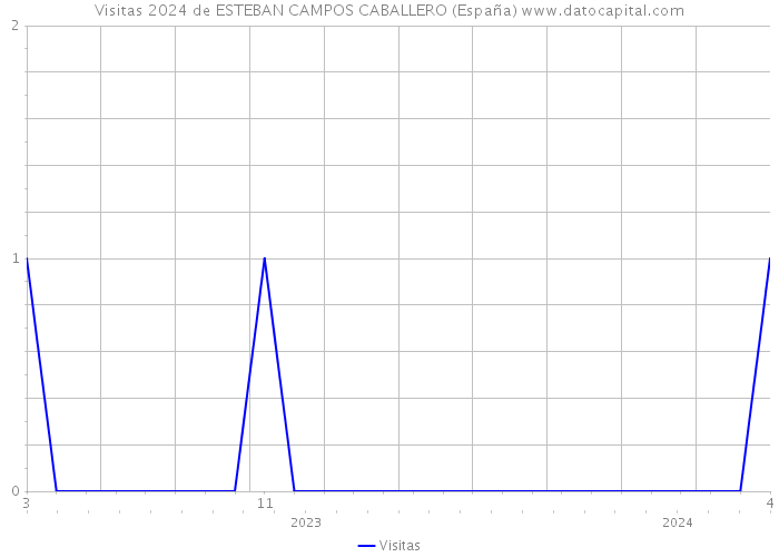 Visitas 2024 de ESTEBAN CAMPOS CABALLERO (España) 