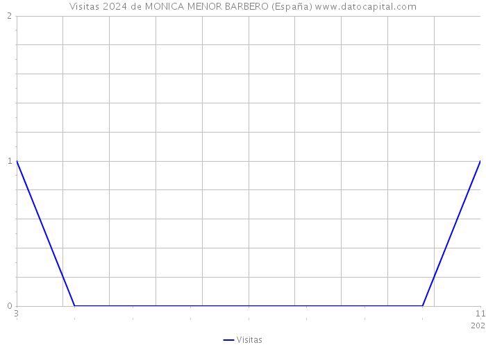 Visitas 2024 de MONICA MENOR BARBERO (España) 