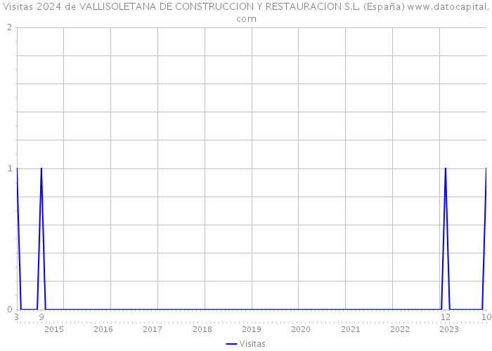 Visitas 2024 de VALLISOLETANA DE CONSTRUCCION Y RESTAURACION S.L. (España) 