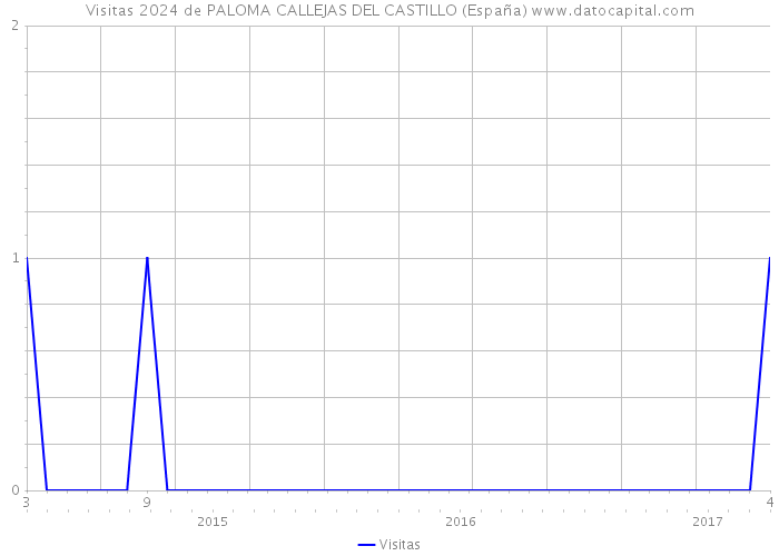 Visitas 2024 de PALOMA CALLEJAS DEL CASTILLO (España) 