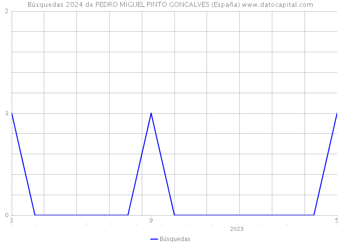 Búsquedas 2024 de PEDRO MIGUEL PINTO GONCALVES (España) 