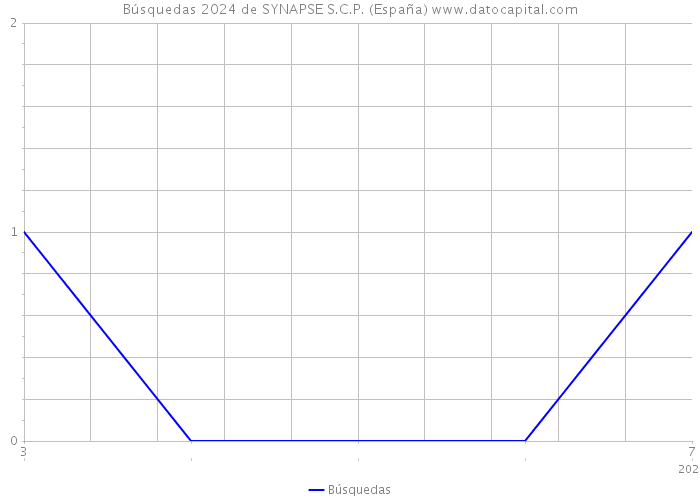 Búsquedas 2024 de SYNAPSE S.C.P. (España) 