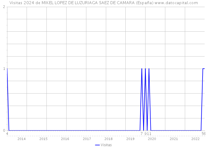 Visitas 2024 de MIKEL LOPEZ DE LUZURIAGA SAEZ DE CAMARA (España) 
