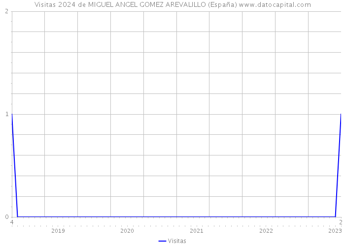 Visitas 2024 de MIGUEL ANGEL GOMEZ AREVALILLO (España) 