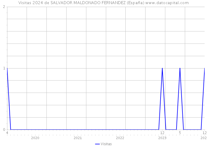 Visitas 2024 de SALVADOR MALDONADO FERNANDEZ (España) 
