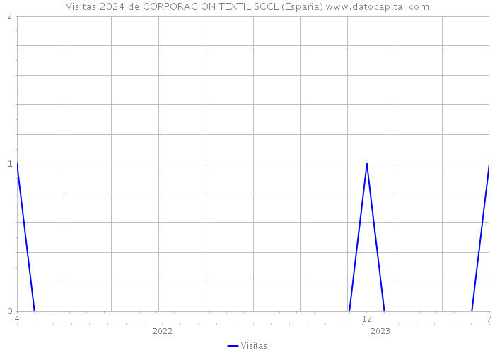 Visitas 2024 de CORPORACION TEXTIL SCCL (España) 