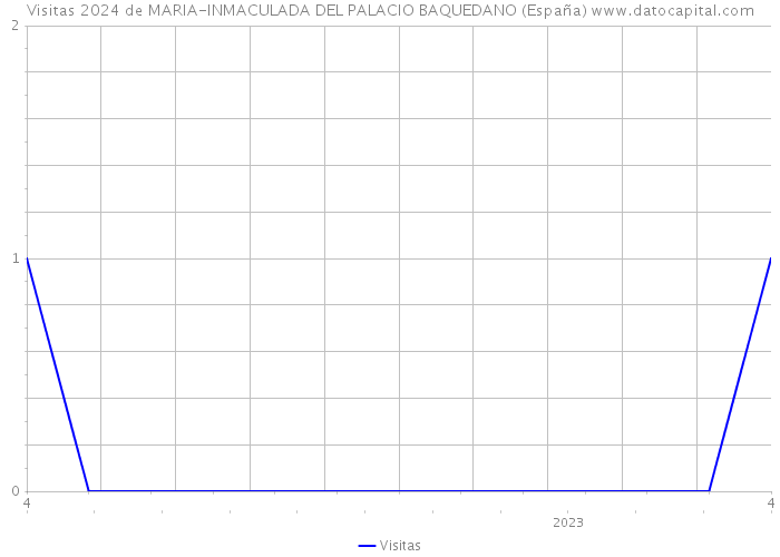 Visitas 2024 de MARIA-INMACULADA DEL PALACIO BAQUEDANO (España) 