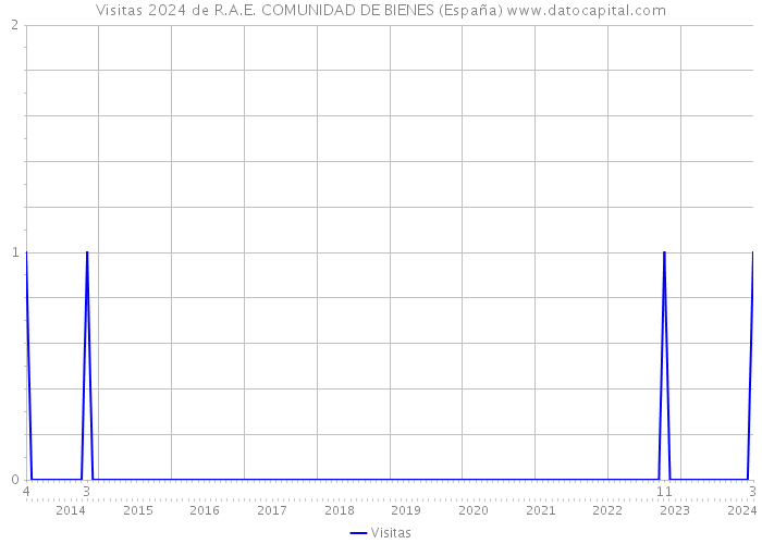 Visitas 2024 de R.A.E. COMUNIDAD DE BIENES (España) 