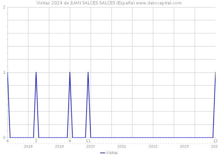 Visitas 2024 de JUAN SALCES SALCES (España) 