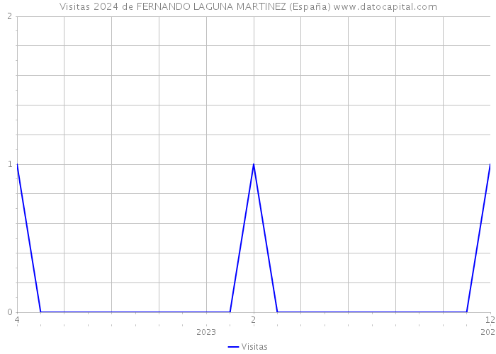 Visitas 2024 de FERNANDO LAGUNA MARTINEZ (España) 