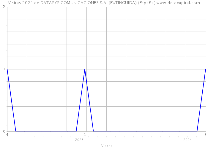 Visitas 2024 de DATASYS COMUNICACIONES S.A. (EXTINGUIDA) (España) 