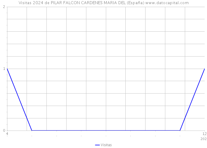 Visitas 2024 de PILAR FALCON CARDENES MARIA DEL (España) 