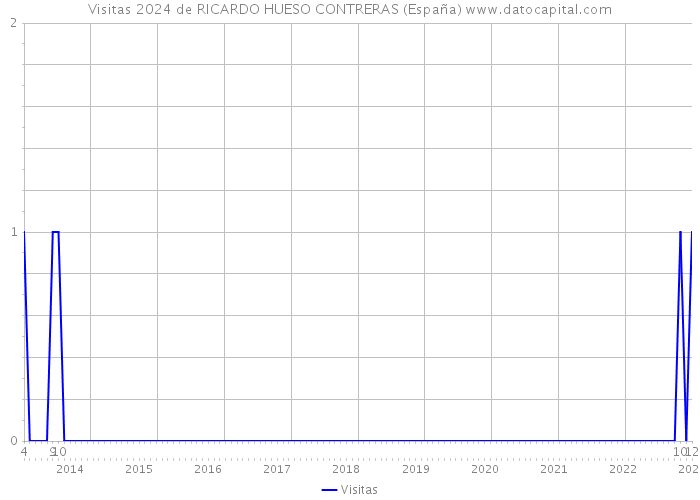 Visitas 2024 de RICARDO HUESO CONTRERAS (España) 