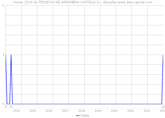 Visitas 2024 de TECNICAS DE JARDINERIA CASTILLA S.L. (España) 