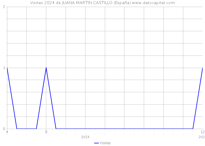 Visitas 2024 de JUANA MARTIN CASTILLO (España) 