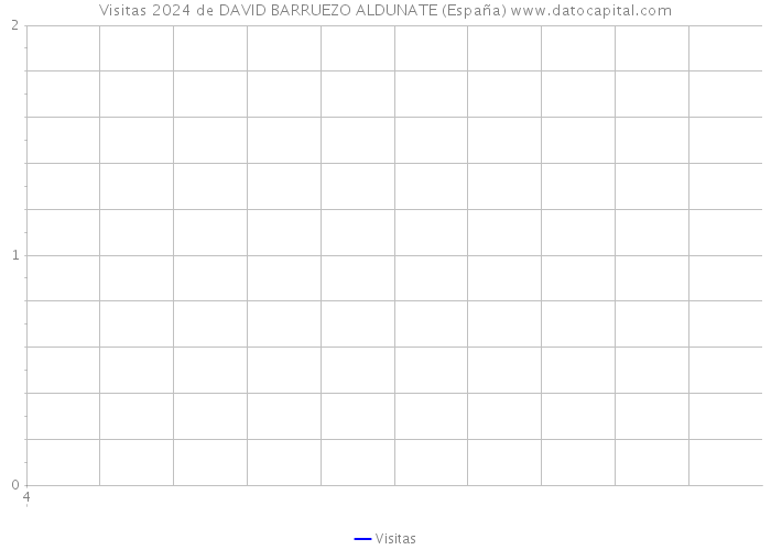 Visitas 2024 de DAVID BARRUEZO ALDUNATE (España) 