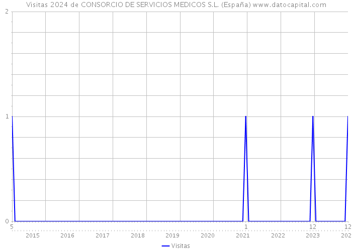Visitas 2024 de CONSORCIO DE SERVICIOS MEDICOS S.L. (España) 