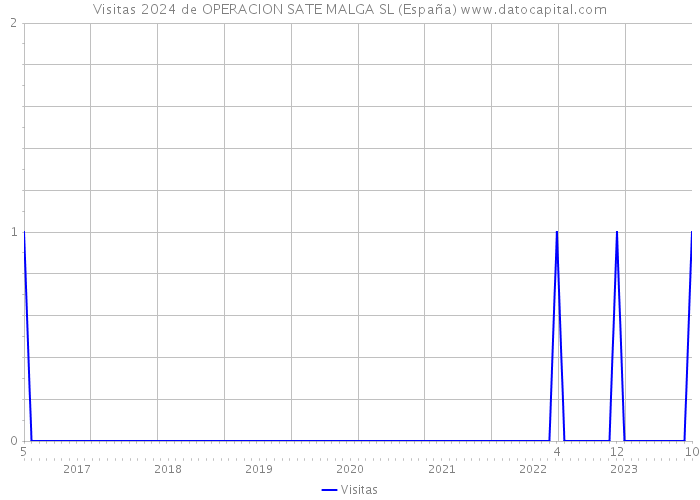 Visitas 2024 de OPERACION SATE MALGA SL (España) 