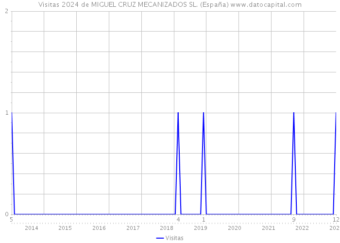 Visitas 2024 de MIGUEL CRUZ MECANIZADOS SL. (España) 