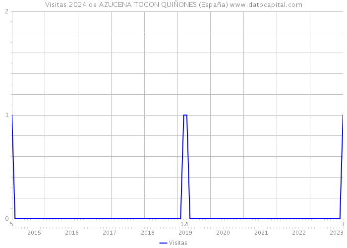 Visitas 2024 de AZUCENA TOCON QUIÑONES (España) 