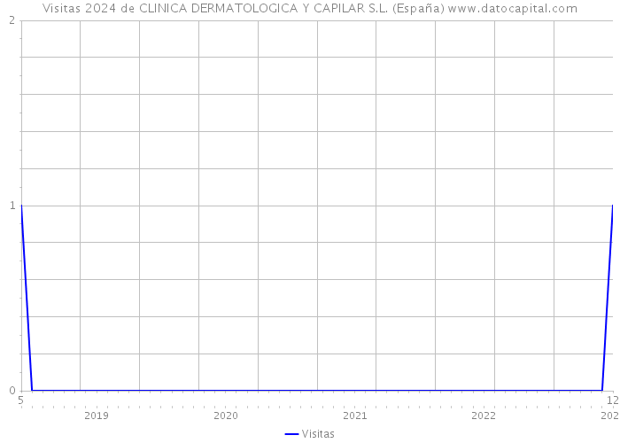 Visitas 2024 de CLINICA DERMATOLOGICA Y CAPILAR S.L. (España) 