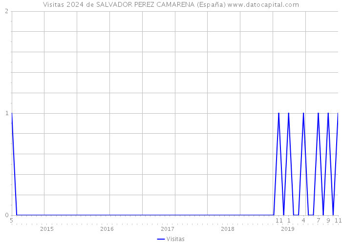 Visitas 2024 de SALVADOR PEREZ CAMARENA (España) 