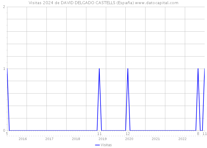 Visitas 2024 de DAVID DELGADO CASTELLS (España) 